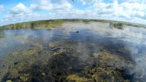 Подводная охота.  озеро "Неро" . подводная рыбалка.