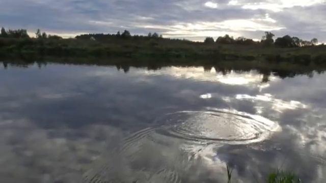 Водяная коса