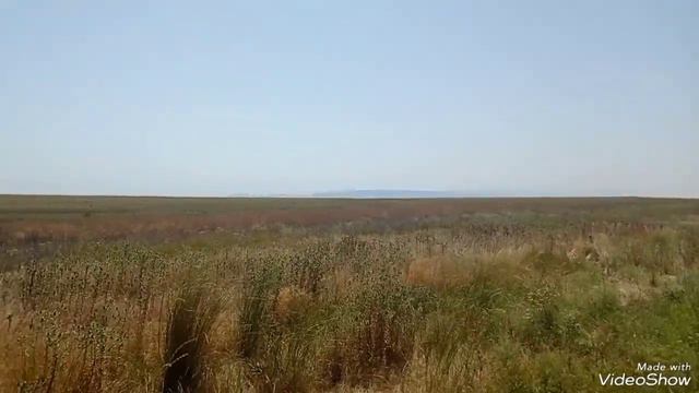 участки в пгт Приморский, инфраструктура 6 км,море 1,2 км, 89859955112 смотреть онлайн