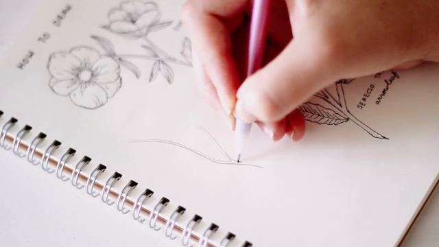 How To Draw Wildflowers
