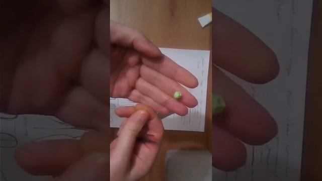 Мастер-класс веточка голубики зеленая