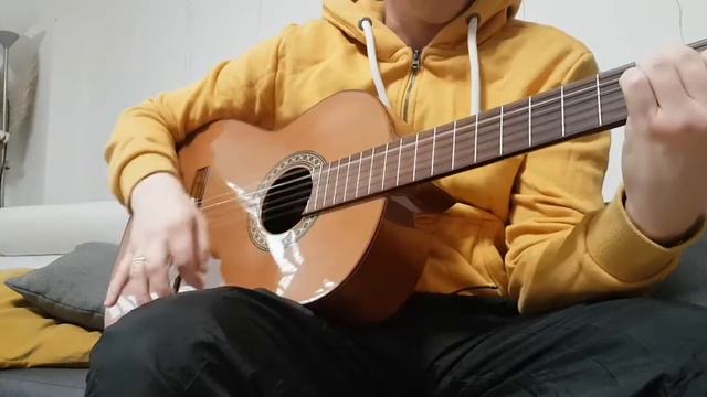 Gitarre Höfner Altamira HG 706 #soundcheck