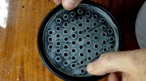 ?  Выращивание лука-порея из семян от и до | Часть 1 Посев на рассаду