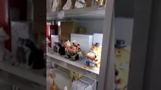 магазин максидом смотреть онлайн