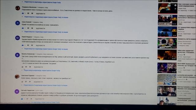 Подведение итогов розыгрыша черенков зимостойких сортов винограда смотреть онлайн