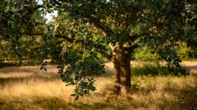 "Где он её откопал?" - матери не нравилась девушка, которую привёл сын. Но, услышав тайну девушки.. смотреть онлайн