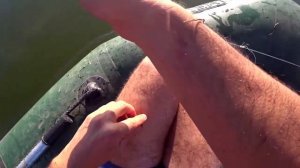 Ловля чехони на перемет на Дону на кузнеца!!