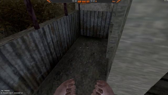 Опасная выживалка - Sunrise Survival Стрим обзор смотреть онлайн