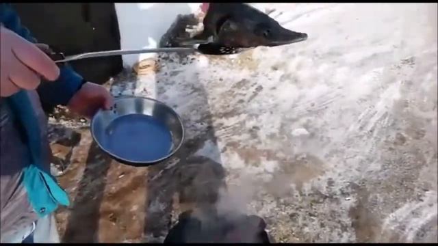 Уха из осетра смотреть онлайн