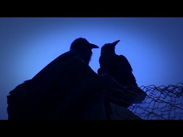 Последний осенний этюд 23 года. смотреть онлайн