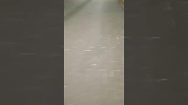 смотрим электрички на ярославском вокзале смотреть онлайн