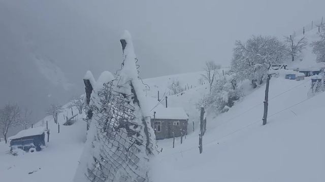 Fshavi смотреть онлайн