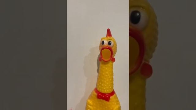 ? Красна курица перьем, а человек ученьем! #буквы #учатвшколе смотреть онлайн