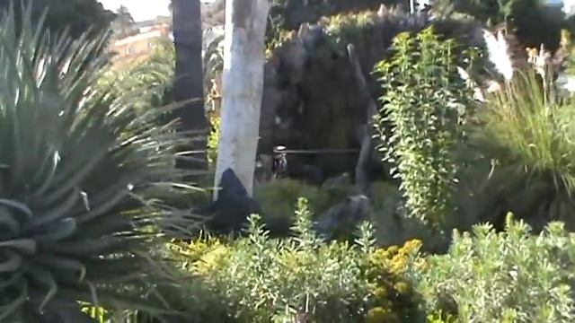 ИСПАНИЯ: Parque Antonio Gómez Felipe Лос-Льянос на Ла Пальма Канарские острова смотреть онлайн