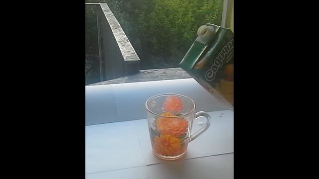 3 ЛАЙФХАКА ДЛЯ ЛЕТА смотреть онлайн