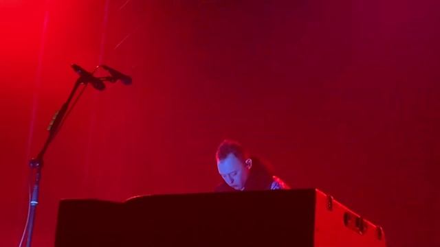 Звери - Пингвины (Архангельск, 20/02/2023) смотреть онлайн