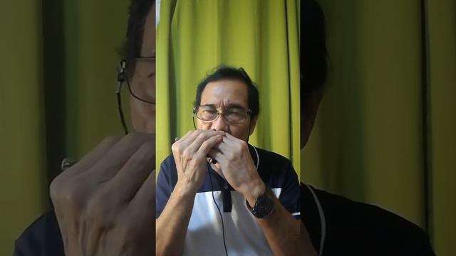 Dave's harmonica cover of the song IMAGINE by John Lennon of The Beatles смотреть онлайн