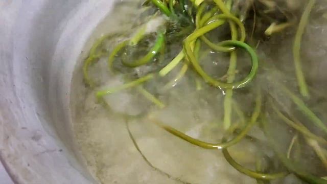 Обалденные ЧЕСНОЧНЫЕ СТРЕЛКИ //стыдно признаться //телефон упал в маринад?// смотреть онлайн