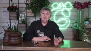 Осторожно пищевая моль ❗ Как навсегда избавиться от пищевой моли