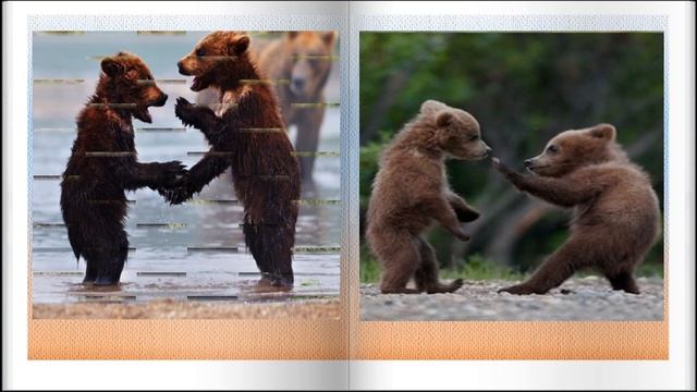 Детские стихи Невежа Агния Барто смотреть онлайн