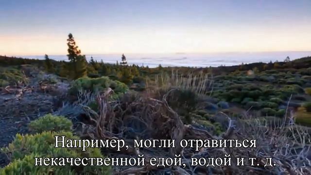 Чем вы можете заразиться в больнице список — Статья смотреть онлайн