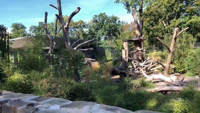 Zoo Berlin | Wir testen einen Zoo смотреть онлайн
