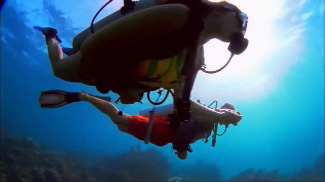 Soma Bay - You want to live here. смотреть онлайн