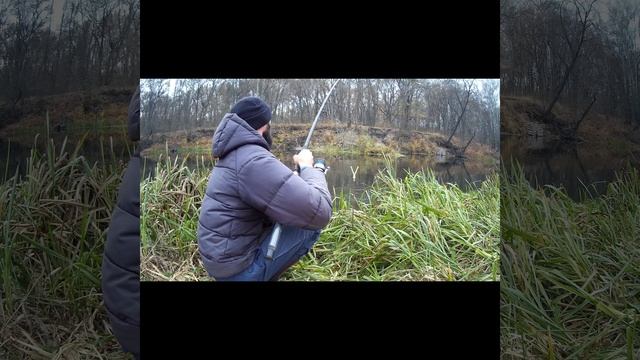 Рыбалка Осенью на КУРИНУЮ ПЕЧЕНЬ НА РЕКЕ смотреть онлайн