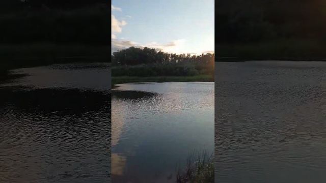 Пойма Волгоградской области смотреть онлайн
