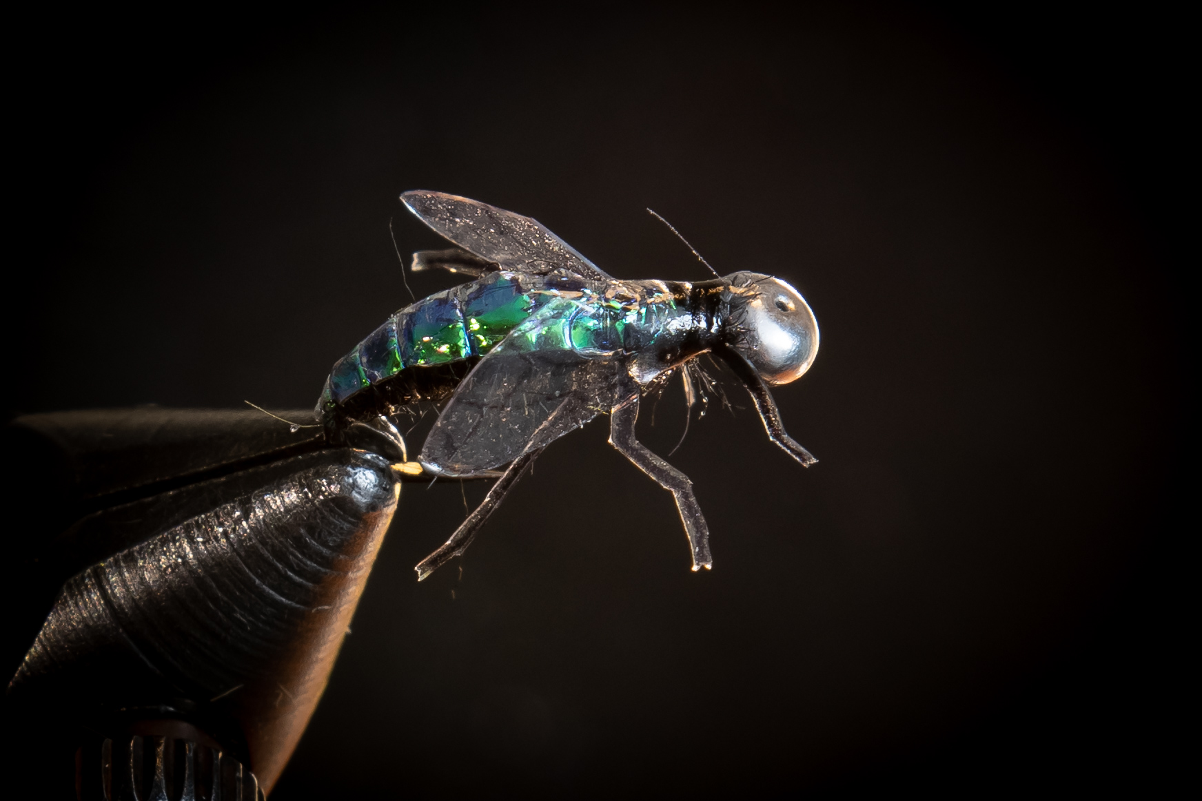 Мушка на хариуса. Навозная муха