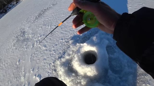 НЕ ЗРЯ МЫ ПОД ЭТО ДЕРЕВО ПРОБУРИЛИ!!! Рыбалка на Алтае, окунь на балансир в коряжнике. смотреть онлайн