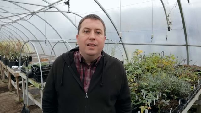 Why Do Cuttings Fail? Propagation Tips смотреть онлайн