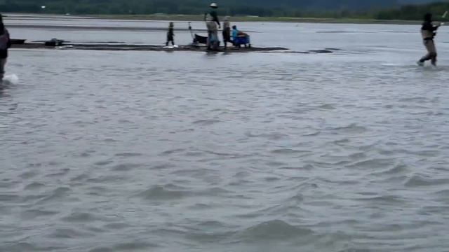 Alaskan Sockeye Salmon | Snag Fishing Seward Alaska