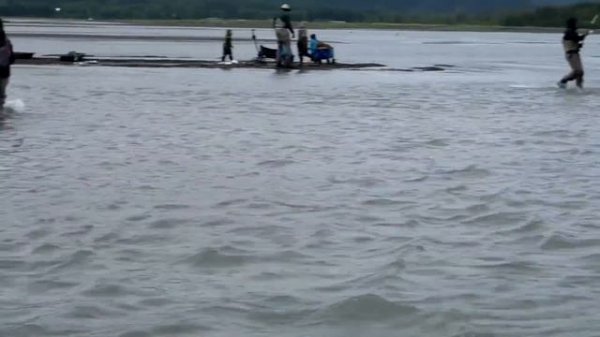 Alaskan Sockeye Salmon | Snag Fishing Seward Alaska