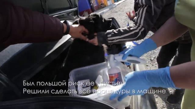 6 июня 2020 г. смотреть онлайн