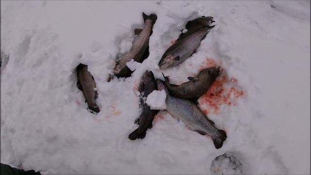 Прогулялись по Клубу Завидное, поговорили с рыбаками смотреть онлайн