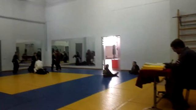 Аттестация на желтый юношеский пояс по Хапкидо смотреть онлайн