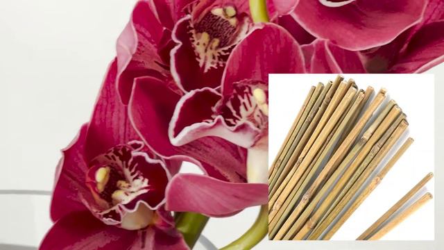 How to Process Cymbidium Orchids: Floral Design for Beginners смотреть онлайн