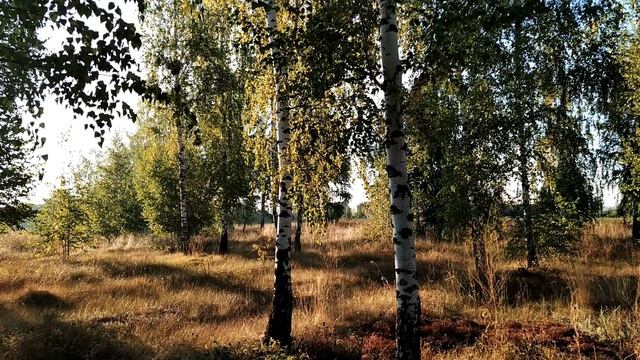 2 сентября-САМОЙЛОВ день.Праздник всех отцов и мужей.Девичья работа.Народные приметы смотреть онлайн