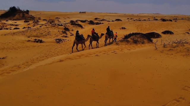 Epic Southern Africa Road Trip Through Botswana, Namibia, South Africa And Lesotho With Itinerary