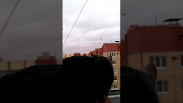 29/10/23 птицы кружили,голова болит с 26 по 29 смотреть онлайн