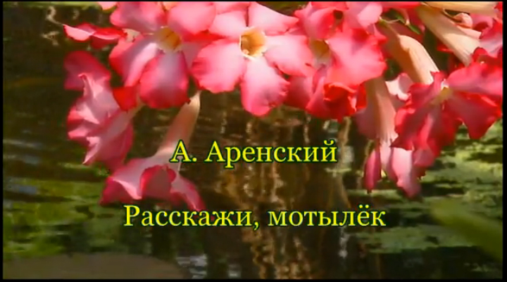 Аренский. Расскажи, мотылёк смотреть онлайн