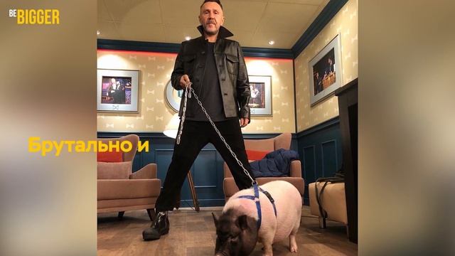 Стиль Сергея Шнурова. Шнур: бунтарь, миллионер, интеллигент, икона стиля. смотреть онлайн