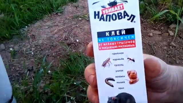 Домовладелец Мастер