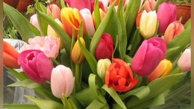 8 Марта ! Поздравляю🎉🎊 смотреть онлайн