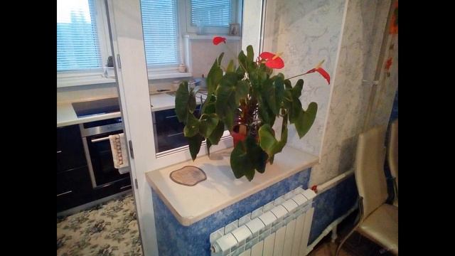 Квартира на Дубровинского 1а смотреть онлайн