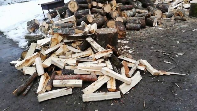 Заказали дрова. Прикорм щенков. Складываем дрова в сарай.