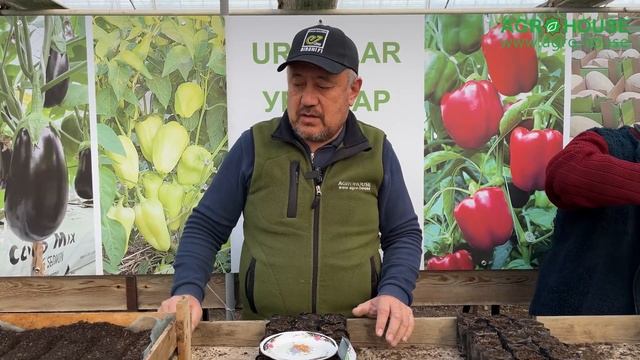Уруғларни ундириш (помидор, бодринг, булғори, бақлажон) #помидор #огурцы #агро #семена смотреть онлайн