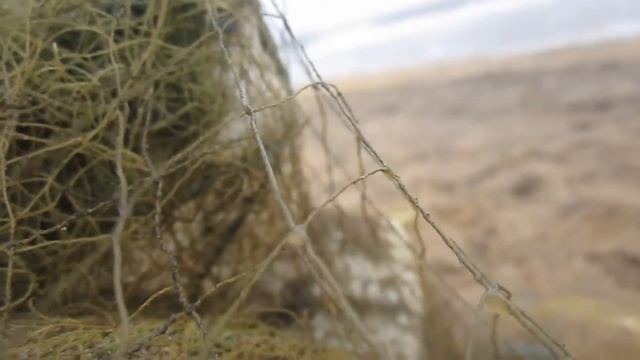 Beauty Of Negombo beach смотреть онлайн