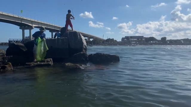 ? с ДЕЛЬФИНАМИ в ОКЕАНЕ ? 31 декабря в сказочной Флориде VANLIFE solo female traveler смотреть онлайн